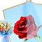 waterproof floral wrapping paper for bouquets,DIY Florist Supplies Packaging Paper with satin ribbon for Wedding,Birthday,Valentine's Day(Blue